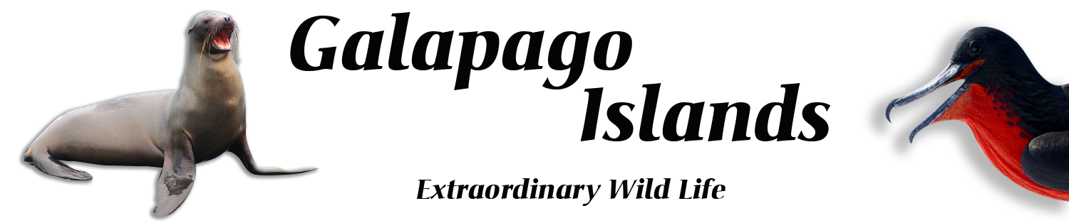 galapagos islands